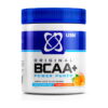 USN BCAA Power Punch (400 g)